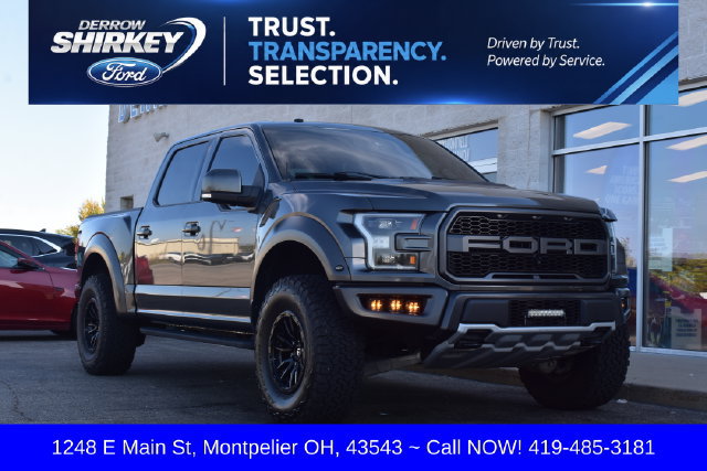 Used 2018 Ford F150 Raptor w/ Equipment Group 802A Luxury AWD/4WD image 1