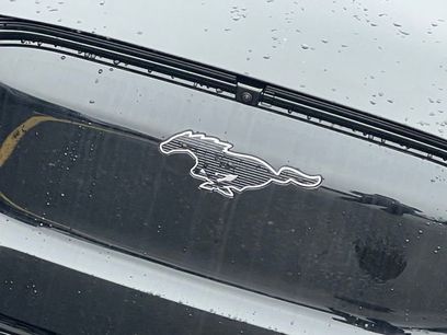 New 2025 Ford Mustang Mach-E Premium w/ Interior Protection Package