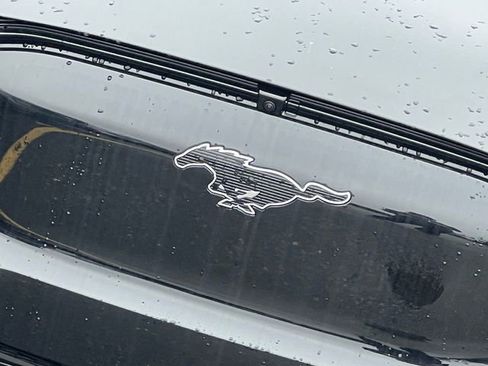 New 2025 Ford Mustang Mach-E Premium w/ Interior Protection Package image 3