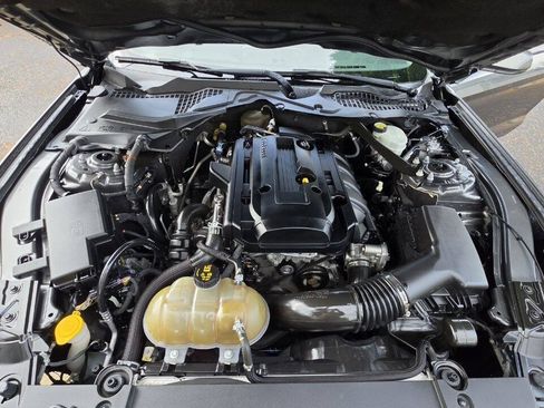 Used 2016 Ford Mustang Premium RWD image 11