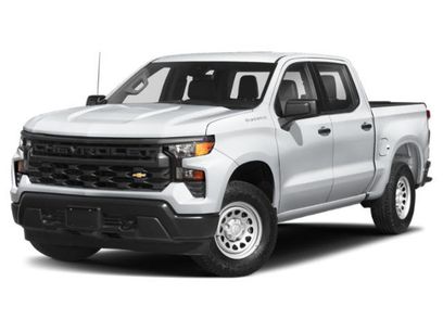 Used 2024 Chevrolet Silverado 1500 Custom Trail Boss w/ Turbomax Blackout Package