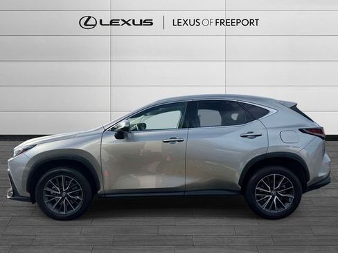 Used 2025 Lexus NX 350 AWD w/ Cold Area Package image 4