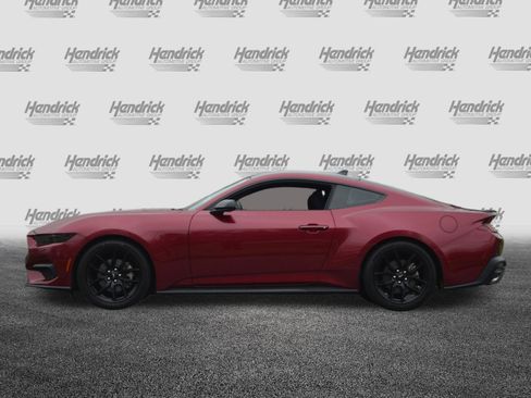 Used 2025 Ford Mustang Coupe w/ Mustang Nite Pony Package image 8