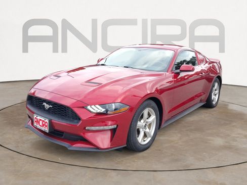 Used 2019 Ford Mustang Coupe RWD image 6