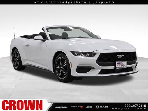 Used 2024 Ford Mustang EcoBoost image 1