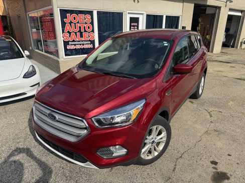 Used 2019 Ford Escape SE FWD image 2