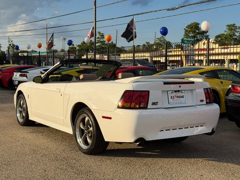 Used 1999 Ford Mustang Cobra RWD image 8