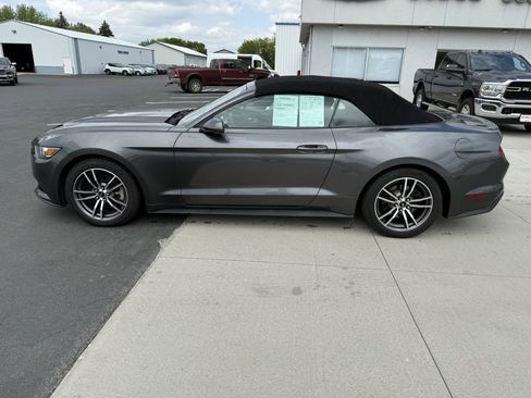 Used 2017 Ford Mustang Premium RWD image 12