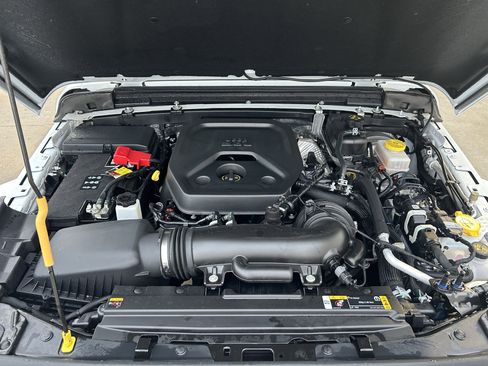 Used 2025 Jeep Wrangler Sahara w/ Safety Group image 11