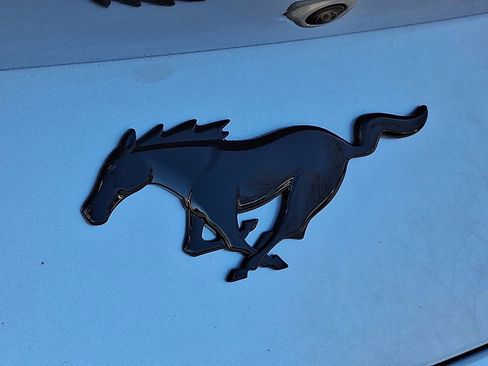 New 2026 Ford Mustang Coupe w/ Mustang Nite Pony Package image 20