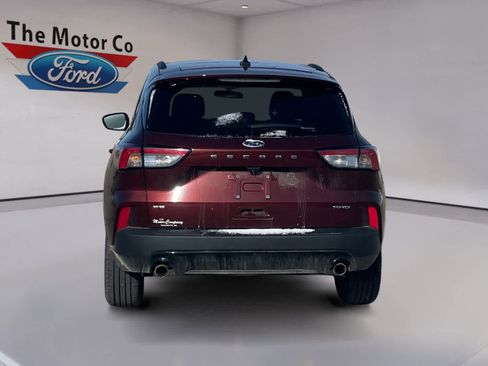 Used 2021 Ford Escape SE w/ SE Sport Appearance Package image 6