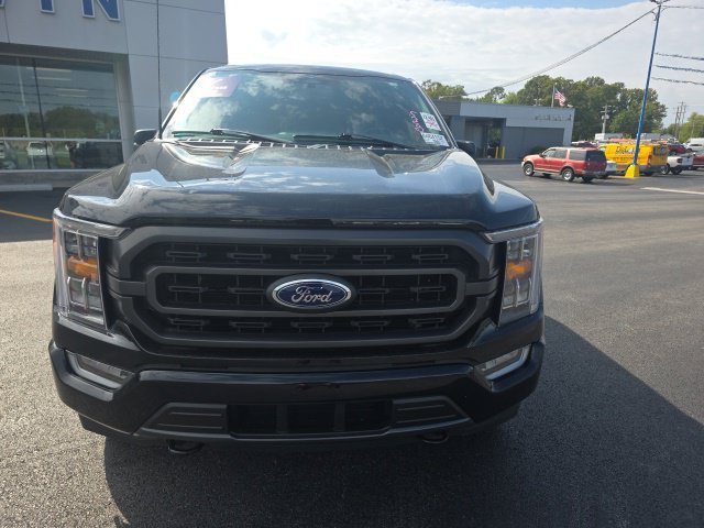 Used 2023 Ford F150 XLT w/ Equipment Group 302A High AWD/4WD image 2