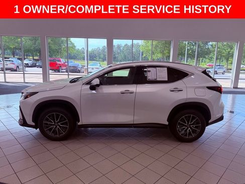 Used 2025 Lexus NX 250 FWD w/ Accessory Package (2T) image 4