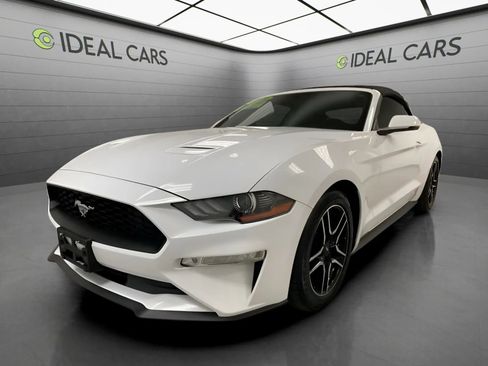 Used 2019 Ford Mustang Premium RWD image 1