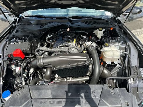 Used 2024 Ford Mustang Premium w/ Mustang Nite Pony Package RWD image 17