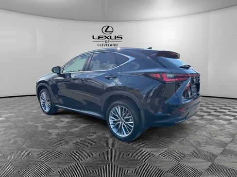 Used 2023 Lexus NX 350 AWD w/ Cold Area Package image 5