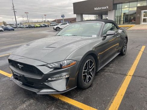Used 2019 Ford Mustang Premium image 1