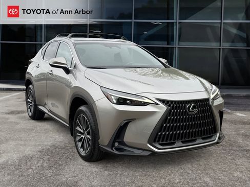 Used 2024 Lexus NX 350h AWD w/ Cold Area Package image 1