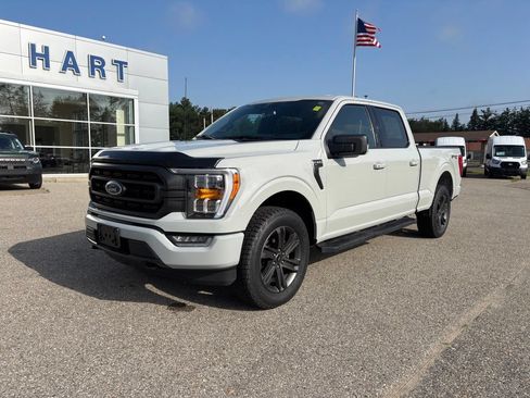 Used 2023 Ford F150 XLT w/ Equipment Group 302A High AWD/4WD image 6