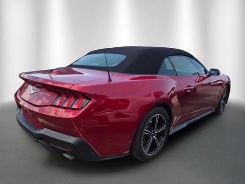 Used 2024 Ford Mustang Convertible RWD image 4