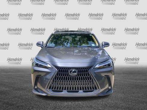 Certified 2024 Lexus NX 350 AWD image 3