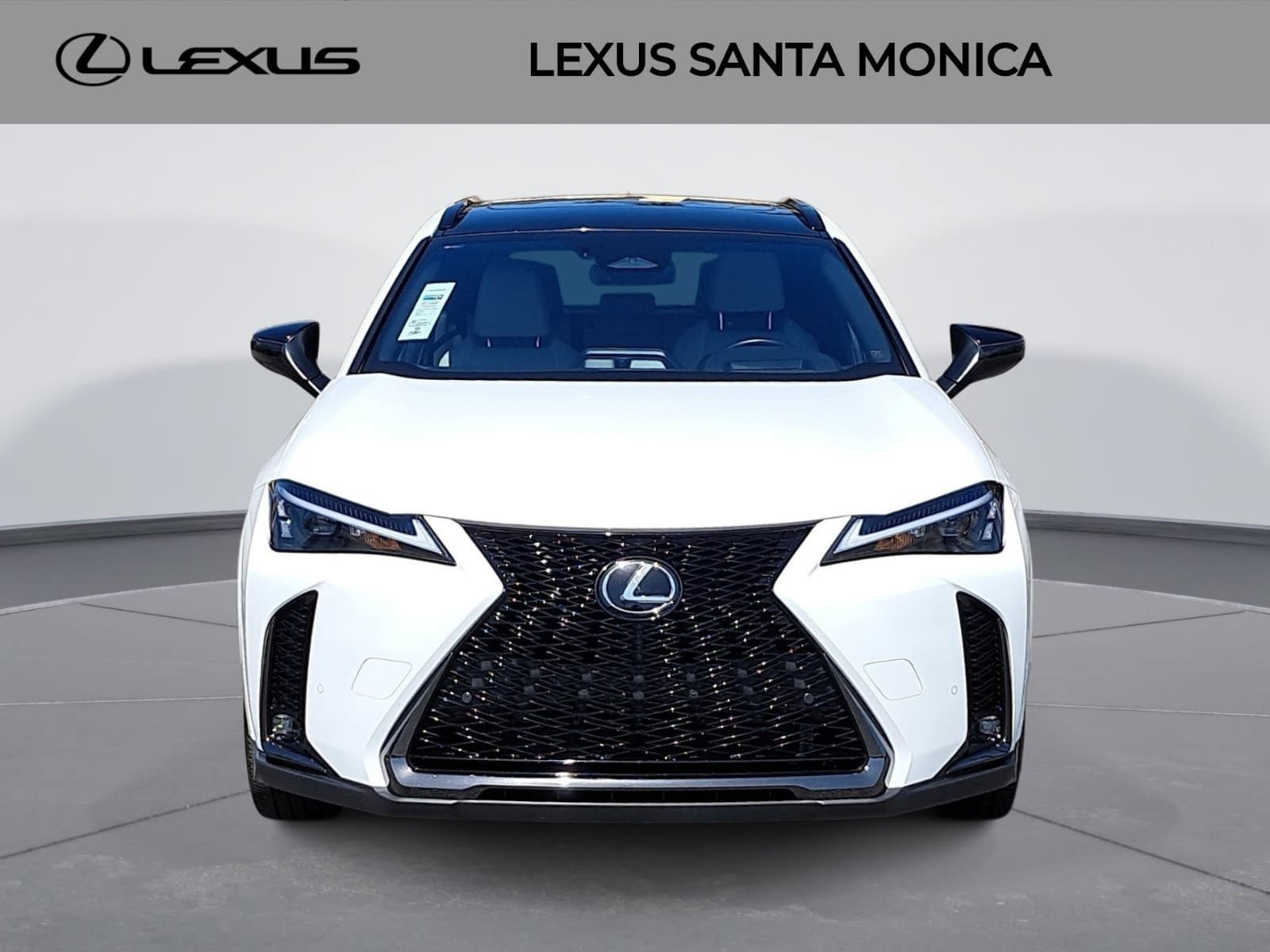Used 2025 Lexus UX 300h AWD w/ Cold Area Package image 2