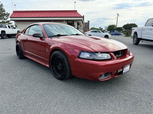 Used 2001 Ford Mustang Cobra RWD image 3