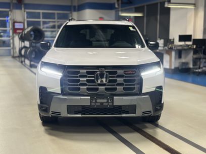 New 2026 Honda Pilot TrailSport