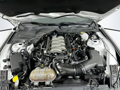 Used 2019 Ford Mustang GT w/ Equipment Group 301A RWD image 29