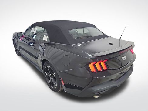 Used 2024 Ford Mustang Premium image 12