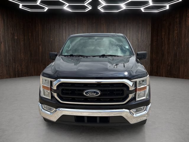 Used 2021 Ford F150 XLT RWD image 2