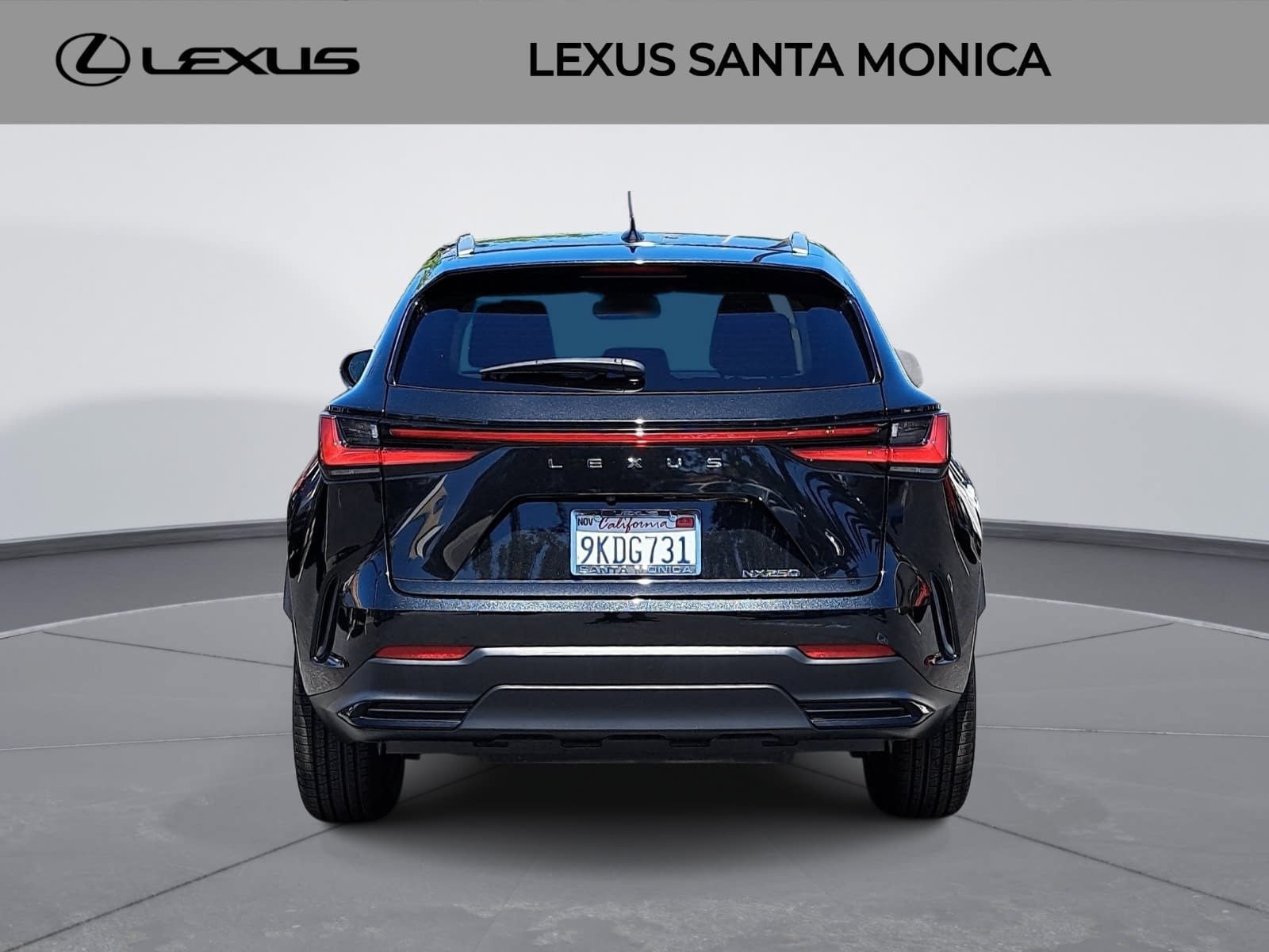 Used 2024 Lexus NX 250 FWD image 6