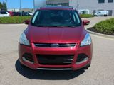 Used 2016 Ford Escape Titanium image 3