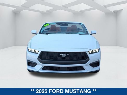 Used 2025 Ford Mustang Premium image 8