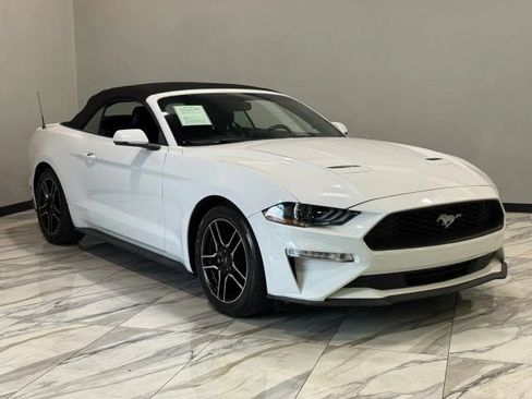 Used 2019 Ford Mustang Premium RWD image 4