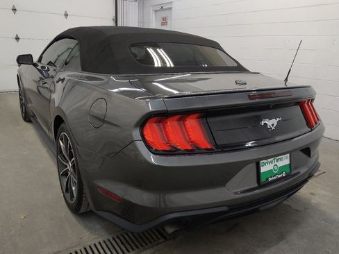 Used 2019 Ford Mustang Premium w/ Equipment Group 201A image 5