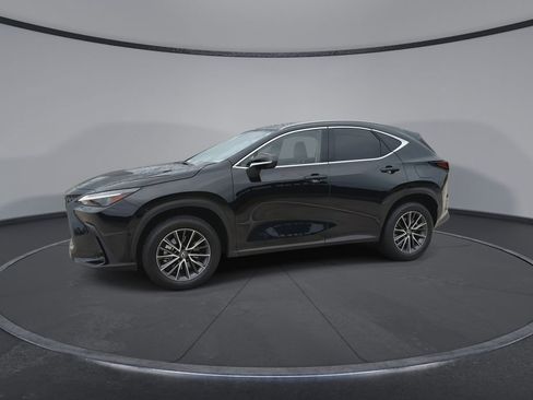 Used 2025 Lexus NX 350h AWD w/ Cold Area Package image 5