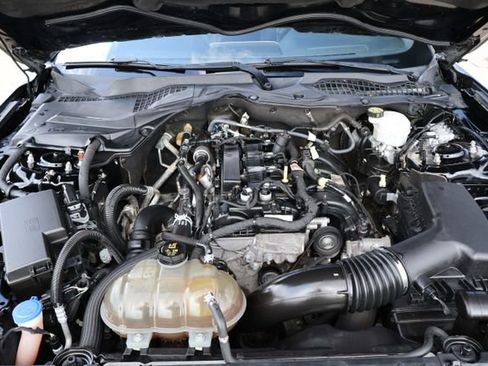 Used 2020 Ford Mustang Premium image 16