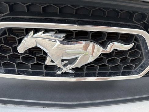 Used 2015 Ford Mustang Premium w/ Equipment Group 201A RWD image 8