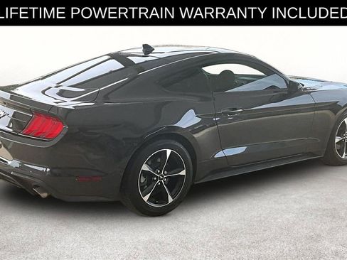 Used 2023 Ford Mustang Coupe RWD image 2