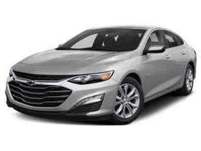 Used 2019 Chevrolet Malibu LT w/ LT True North Edition