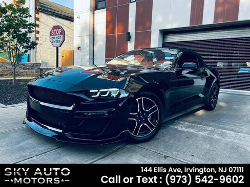 Used 2018 Ford Mustang Premium w/ Equipment Group 201A RWD image 1