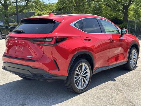 Certified 2023 Lexus NX 350h AWD w/ Vision Package image 5