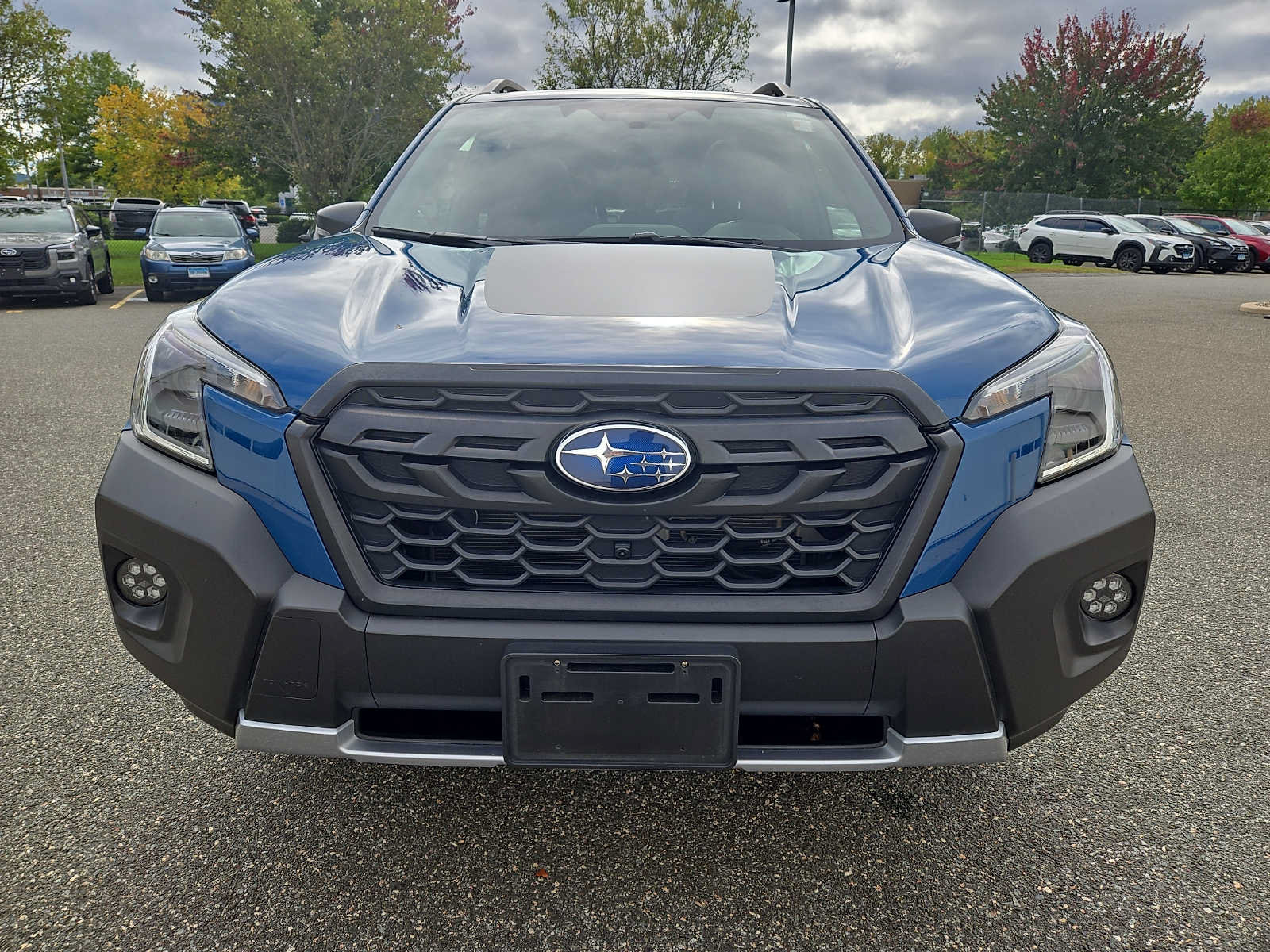 Used 2024 Subaru Forester Wilderness AWD/4WD image 2