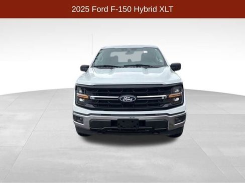 Used 2025 Ford F150 XLT w/ Equipment Group 301A Standard AWD/4WD image 2