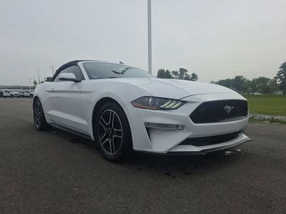 Used 2019 Ford Mustang Premium