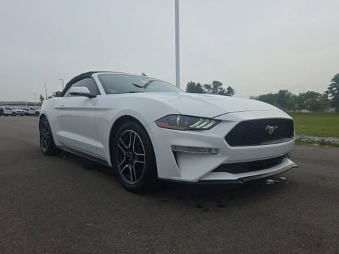 Used 2019 Ford Mustang Premium RWD image 1