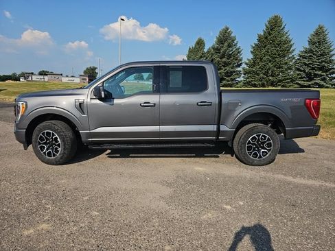 Used 2023 Ford F150 XLT w/ Equipment Group 302A High AWD/4WD image 2