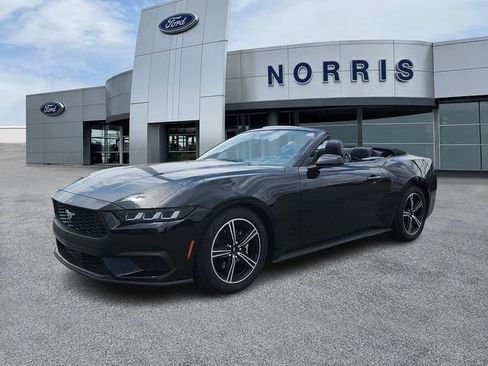 Used 2025 Ford Mustang Premium RWD image 2