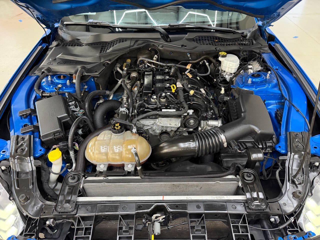 Used 2019 Ford Mustang Coupe RWD image 7